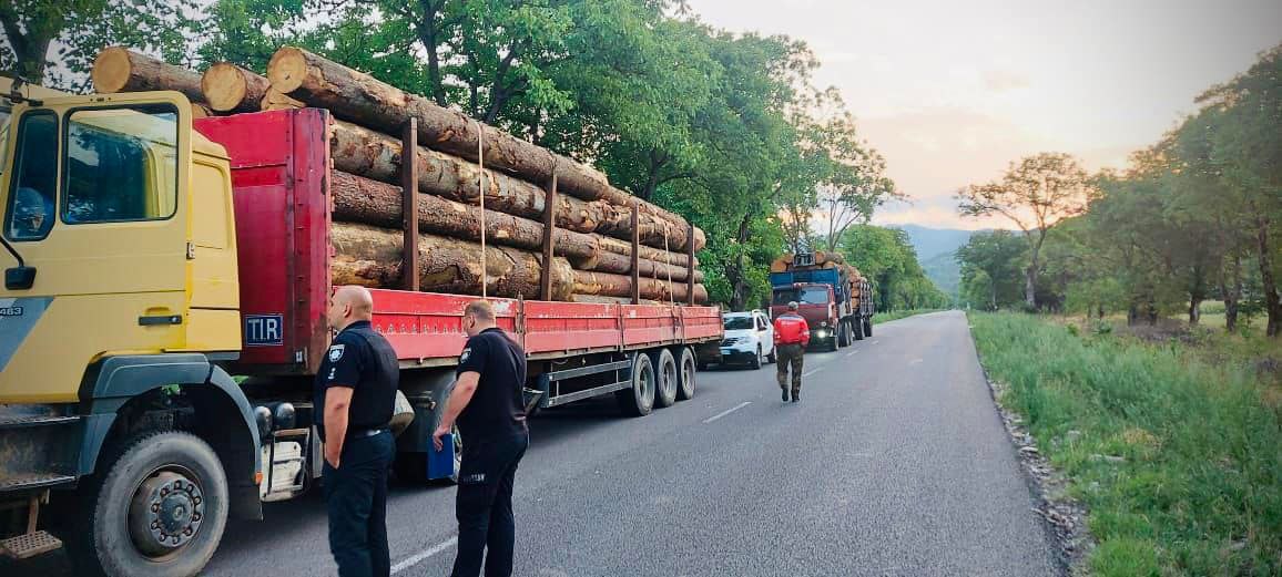 На Хустщині затримали дві вантажівки з незаконно зрубаною деревиною