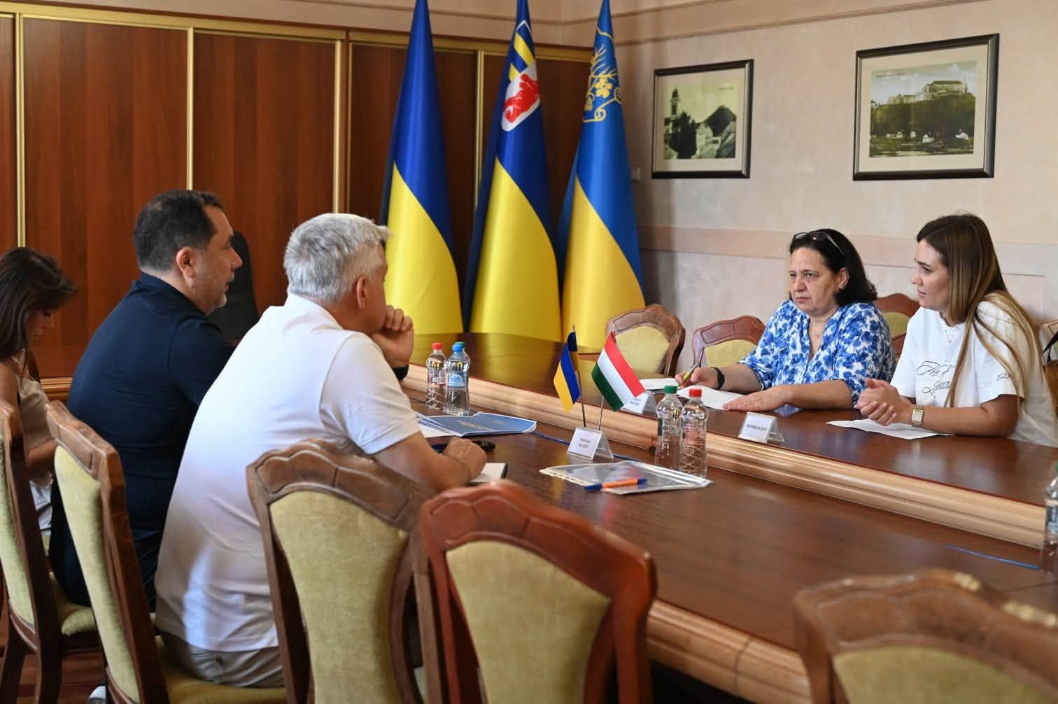 Карпатська інтеграційна ініціатива – в центрі уваги зустрічі представників ОВА та Генконсульства Угорщини