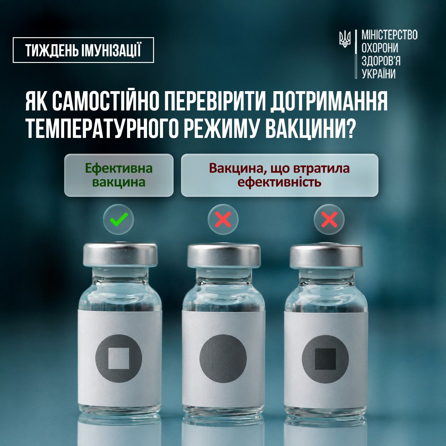 Як зберігаються вакцини та як перевірити дотримання правил зберігання самостійно? Як зберігаються вакцини та як перевірити дотримання правил зберігання самостійно?
