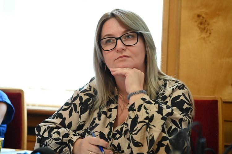 Від закону до практики: на Закарпатті обговорили розвиток наставництва для дітей і молоді