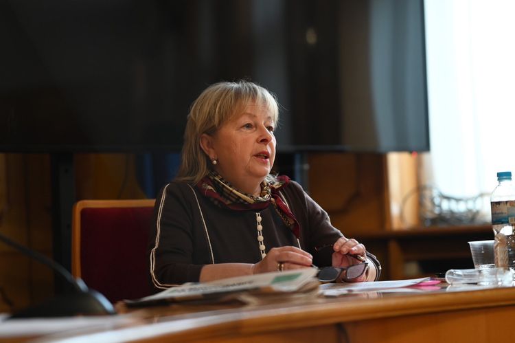  Учасниця круглого столу щодо соціального захисту осіб з інвалідністю