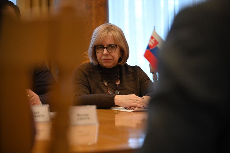 Юрій Гузинець обговорив пріоритети партнерства з делегаціями Італії та Словаччини