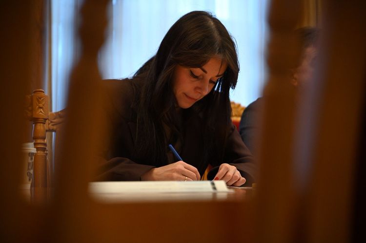 Керівництво області зустрілося з японськими партнерами