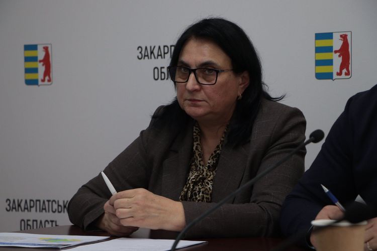 Закарпаття посилює розвиток послуги патронату над дитиною