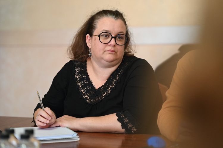 Навчання соцпрацівників: на Закарпатті розширюють проєкт «Стійкість»