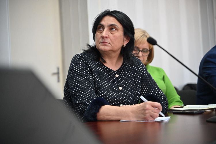 Закарпаття долучилося до засідання Ради безбар’єрності: