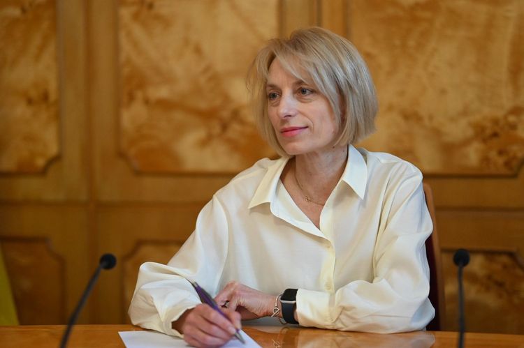 Закарпаття ділиться досвідом захисту прав дітей та підтримки родин