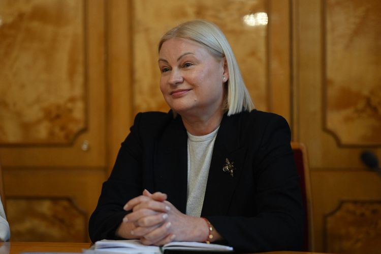 Закарпаття ділиться досвідом захисту прав дітей та підтримки родин