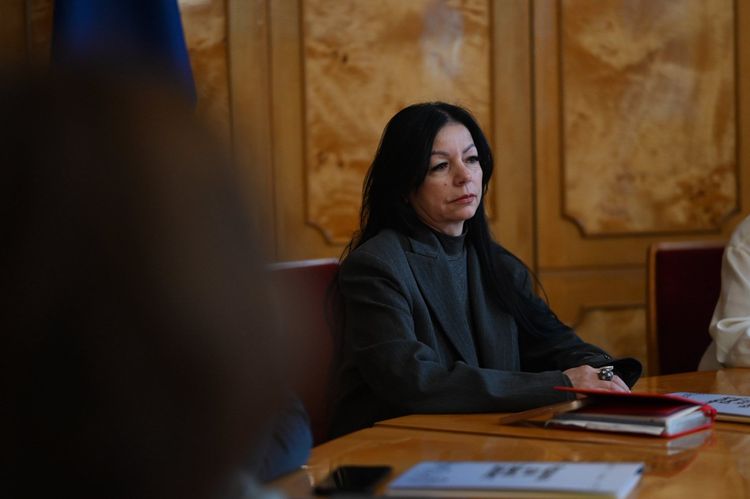 Закарпаття ділиться досвідом захисту прав дітей та підтримки родин