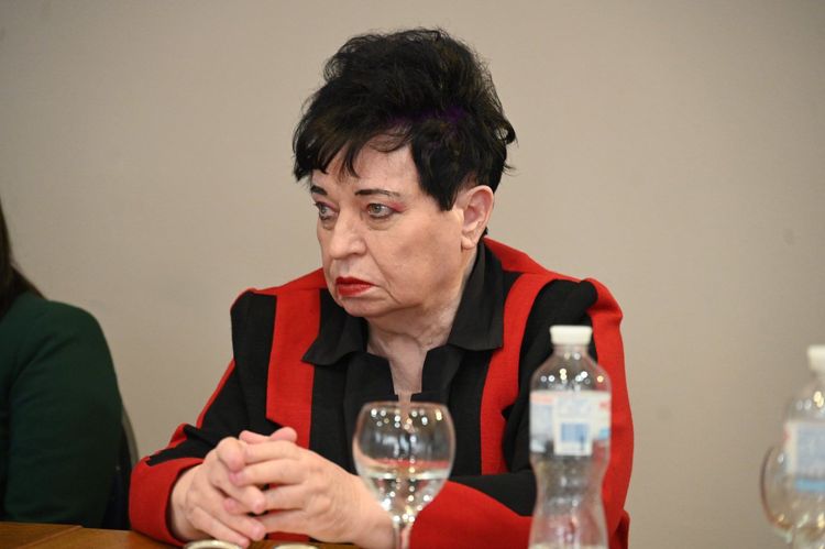 Підтримка та інтеграція: на Закарпатті відбувся круглий стіл до Міжнародного дня ромів