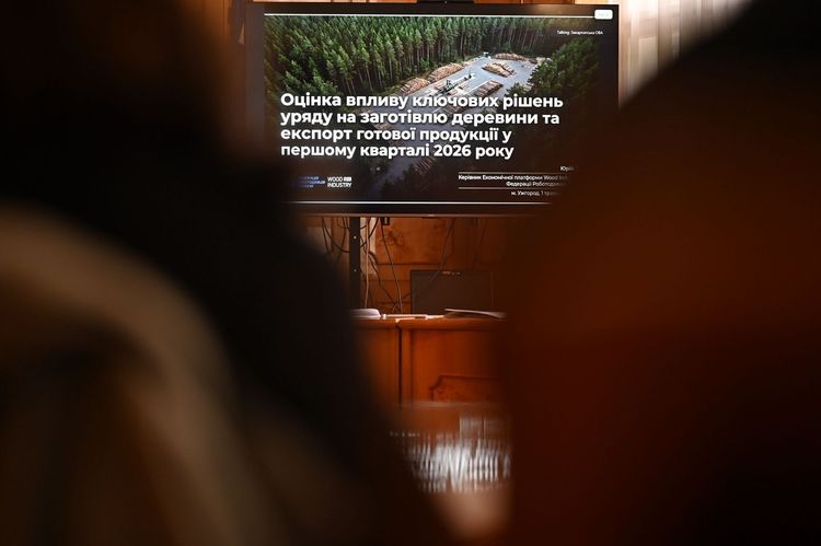 Виклики і пріоритети розвитку деревообробної та меблевої галузей обговорили в ОВА