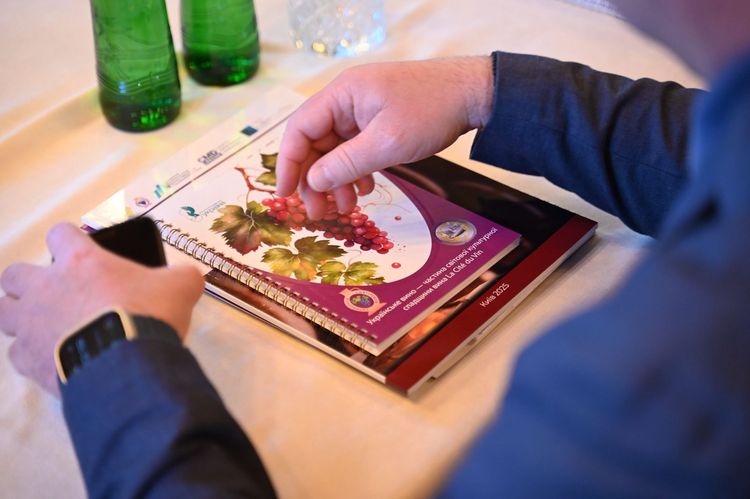 На Закарпатті обговорили майбутнє українського вина