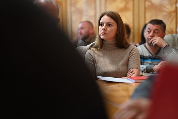 Виклики і пріоритети розвитку деревообробної та меблевої галузей обговорили в ОВА