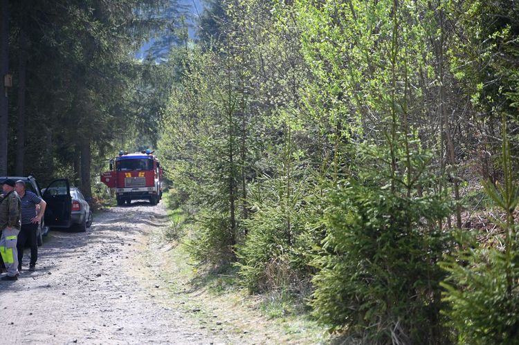 На Мукачівщині другу добу триває ліквідація масштабної лісової пожежі