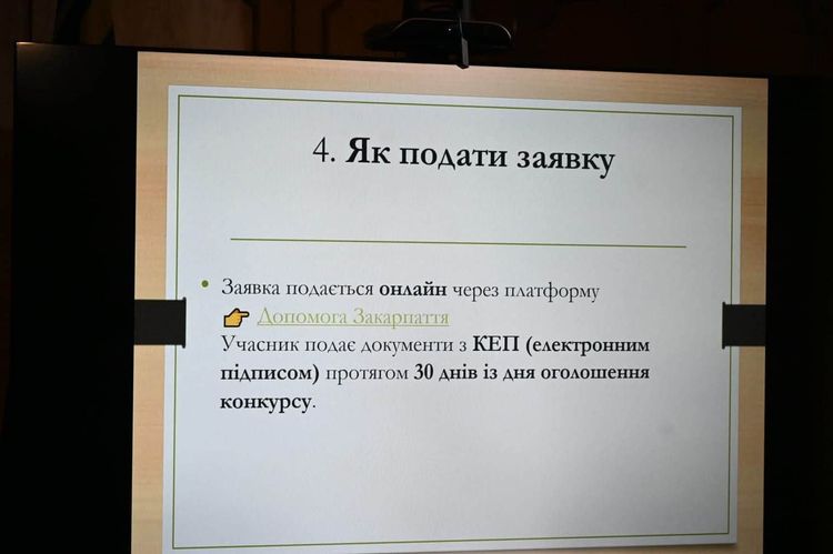 Як підготувати переможний проєкт: в Ужгороді відбувся тренінг для стартаперів