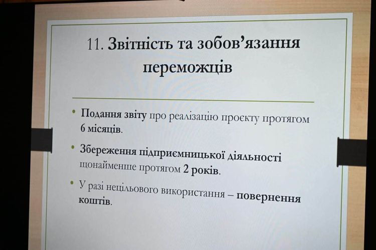 Як підготувати переможний проєкт: в Ужгороді відбувся тренінг для стартаперів