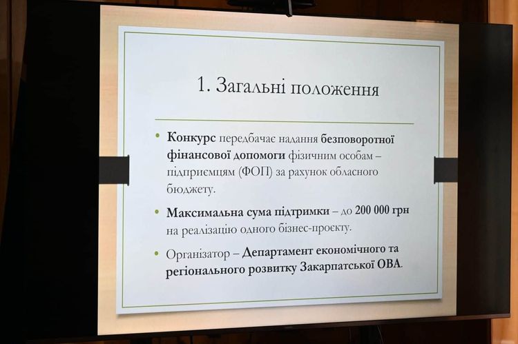 Як підготувати переможний проєкт: в Ужгороді відбувся тренінг для стартаперів
