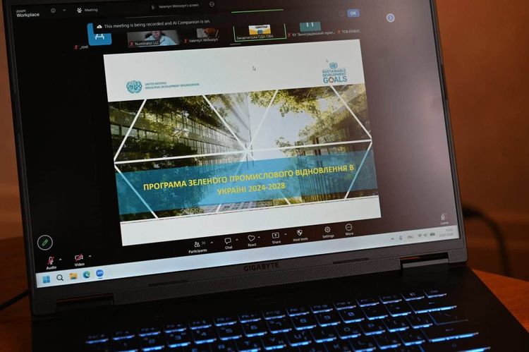 Підприємцям Закарпаття презентували міжнародні програми підтримки від UNIDO