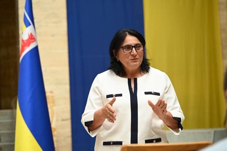 Стартував пілотний проєкт «За молоддю майбутнє Закарпаття»