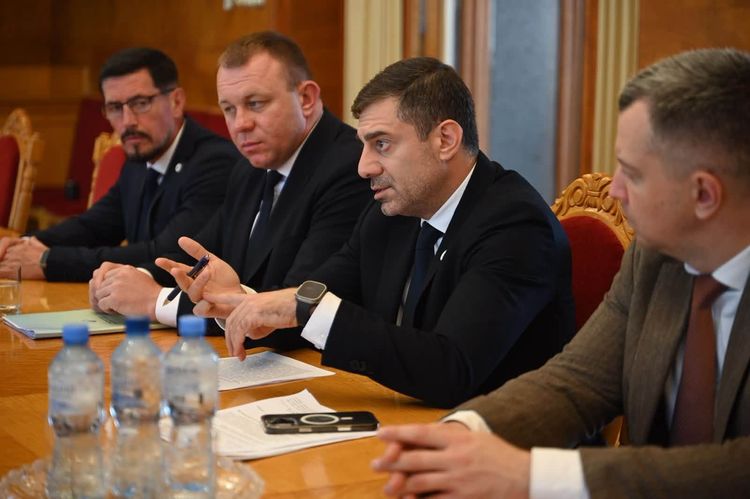 Мирослав Білецький та Дмитро Лубінець обговорили дотримання прав людини на Закарпатті
