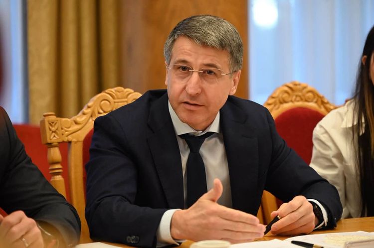 Японія розглядає Закарпаття як майданчик для розвитку бізнесу та приватних інфраструктурних інвестицій