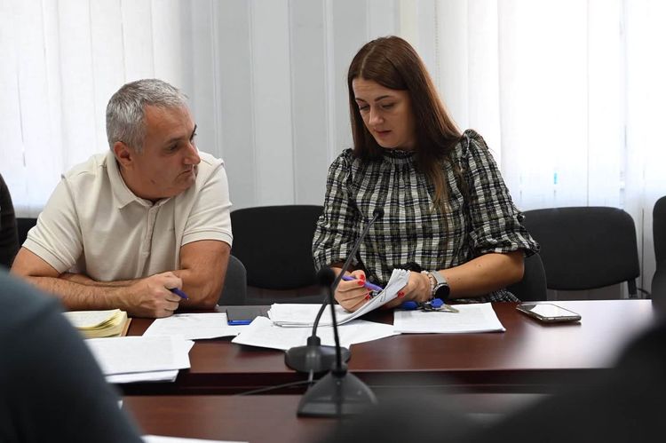 Закарпаття долучилося до засідання Національної Ради безбар’єрності