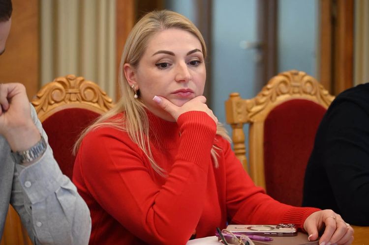 До Єдиного проєктного портфеля Закарпаття включили 21 новий проєкт обласного значення